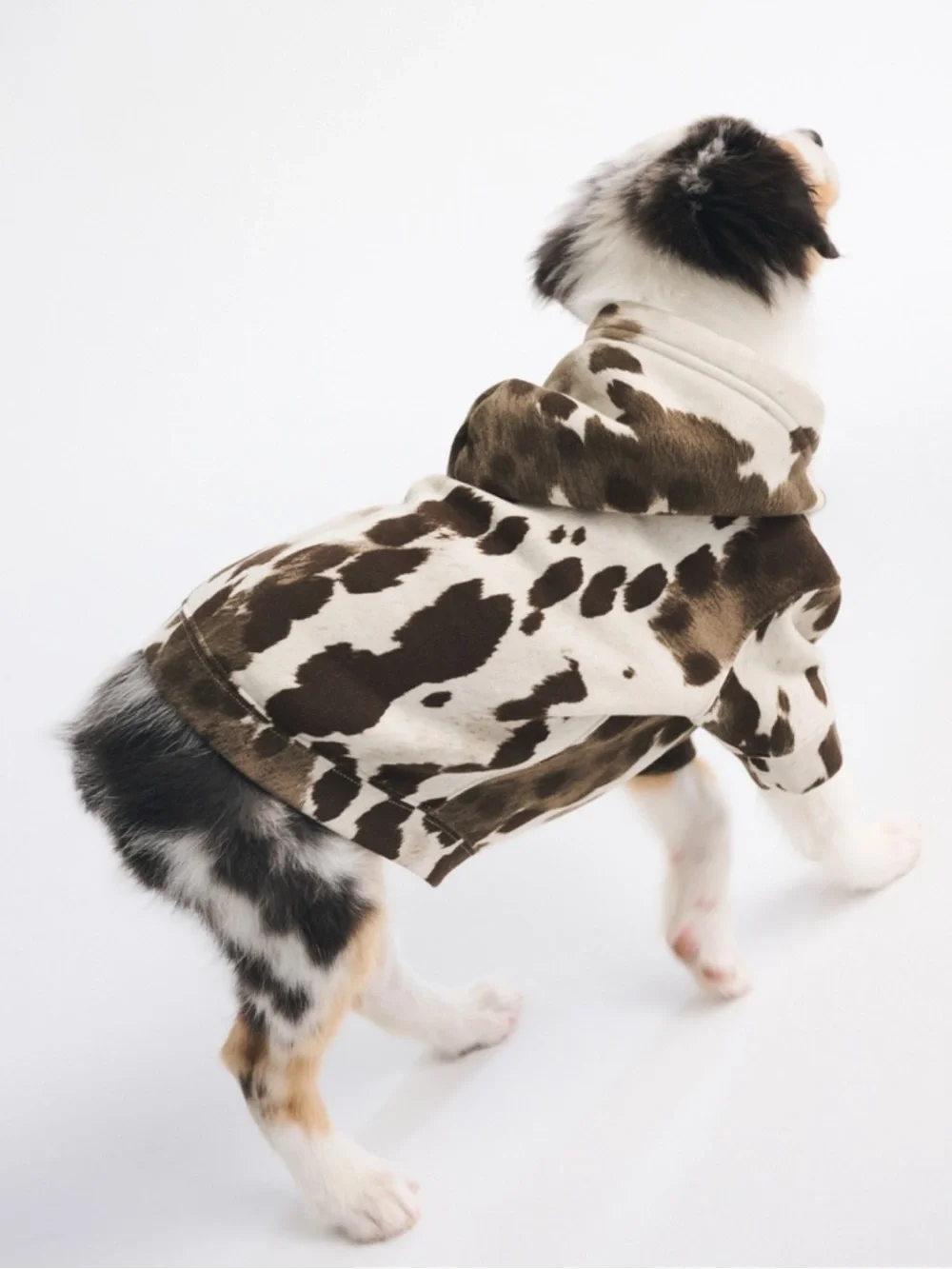 Abercrombie & Fitch A&F Essential Pet Pupover Hoodie Brown Cow Pattern Sz Large